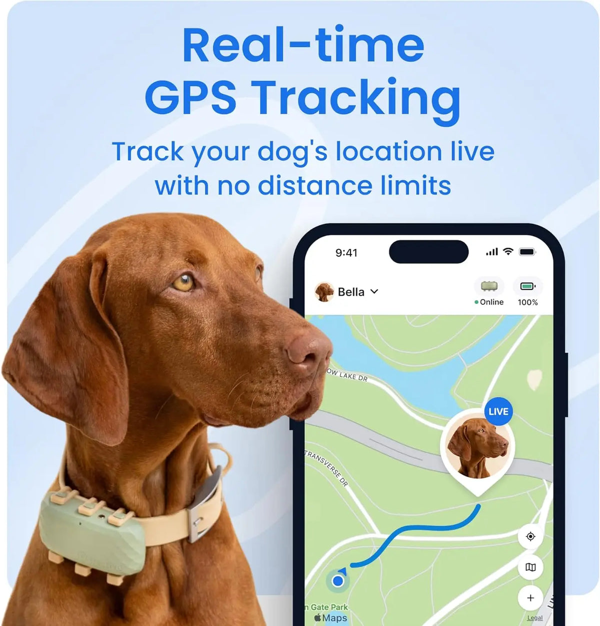 Smart GPS Dog Tracker with Live Tracking, Health Monitoring, Virtual Fence, and Long Battery Life for Large Dogs